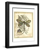 Regal Dragonfly II-Vision Studio-Framed Art Print