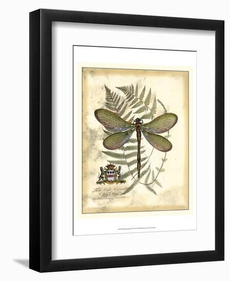 Regal Dragonfly II-Vision Studio-Framed Art Print