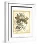 Regal Dragonfly II-Vision Studio-Framed Art Print