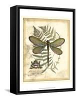 Regal Dragonfly II-Vision Studio-Framed Stretched Canvas