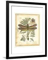 Regal Dragonfly III-Vision Studio-Framed Art Print