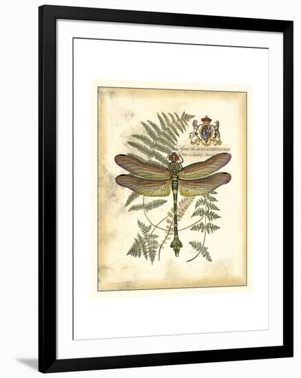 Regal Dragonfly III-Vision Studio-Framed Art Print