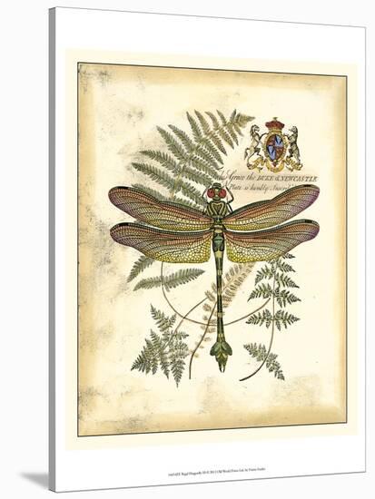 Regal Dragonfly III-Vision Studio-Stretched Canvas