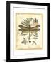 Regal Dragonfly III-Vision Studio-Framed Art Print