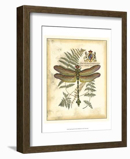 Regal Dragonfly III-Vision Studio-Framed Art Print