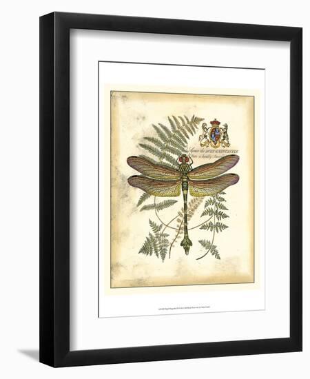 Regal Dragonfly III-Vision Studio-Framed Art Print