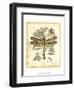 Regal Dragonfly III-Vision Studio-Framed Art Print