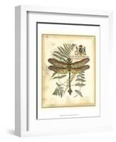 Regal Dragonfly III-Vision Studio-Framed Art Print