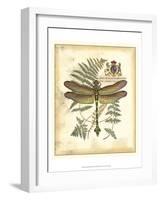 Regal Dragonfly III-Vision Studio-Framed Art Print