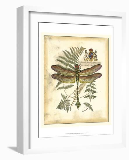 Regal Dragonfly III-Vision Studio-Framed Art Print