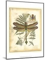 Regal Dragonfly III-Vision Studio-Mounted Art Print