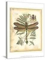 Regal Dragonfly III-Vision Studio-Stretched Canvas