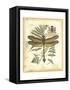 Regal Dragonfly III-Vision Studio-Framed Stretched Canvas