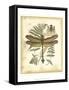 Regal Dragonfly III-Vision Studio-Framed Stretched Canvas