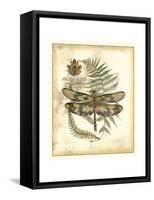 Regal Dragonfly IV-Vision Studio-Framed Stretched Canvas