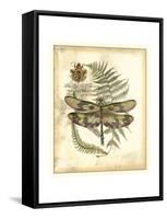 Regal Dragonfly IV-Vision Studio-Framed Stretched Canvas