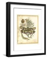 Regal Dragonfly IV-Vision Studio-Framed Art Print