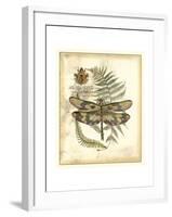 Regal Dragonfly IV-Vision Studio-Framed Art Print