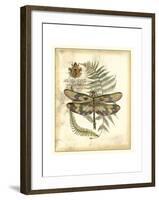 Regal Dragonfly IV-Vision Studio-Framed Art Print