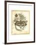 Regal Dragonfly IV-Vision Studio-Framed Art Print