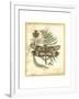 Regal Dragonfly IV-Vision Studio-Framed Art Print