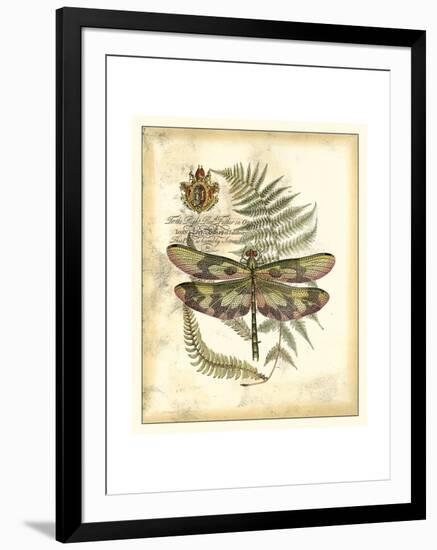 Regal Dragonfly IV-Vision Studio-Framed Art Print