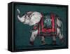 Regal Elephant-Patricia Pinto-Framed Stretched Canvas