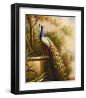 Regal Peacock-null-Framed Art Print