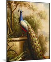 Regal Peacock-null-Mounted Art Print