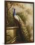 Regal Peacock-null-Framed Art Print