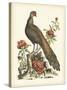 Regal Pheasants III-George Edwards-Stretched Canvas