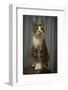 Regal Tabby Cat  2020  (photograph)-Ant Smith-Framed Photographic Print