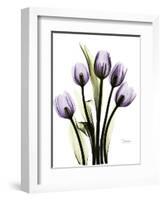 Regal Tulip B13-Albert Koetsier-Framed Art Print