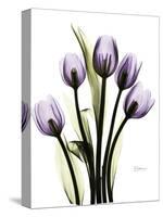Regal Tulip B13-Albert Koetsier-Stretched Canvas