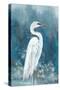 Regal White Egret I-Eli Jones-Stretched Canvas