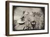 Regarding Mt. Rushmore, South Dakota, USA-Theo Westenberger-Framed Photographic Print