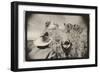 Regarding Mt. Rushmore, South Dakota, USA-Theo Westenberger-Framed Photographic Print