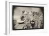 Regarding Mt. Rushmore, South Dakota, USA-Theo Westenberger-Framed Photographic Print