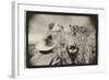 Regarding Mt. Rushmore, South Dakota, USA-Theo Westenberger-Framed Photographic Print