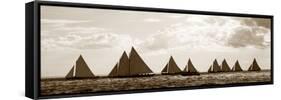 Regata-null-Framed Stretched Canvas