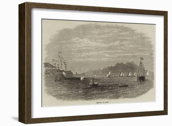 Regatta at Aden-null-Framed Giclee Print