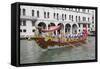 Regatta, Grand Canal, Venice, UNESCO World Heritage Site, Veneto, Italy, Europe-Philip Craven-Framed Stretched Canvas
