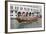 Regatta, Grand Canal, Venice, UNESCO World Heritage Site, Veneto, Italy, Europe-Philip Craven-Framed Photographic Print