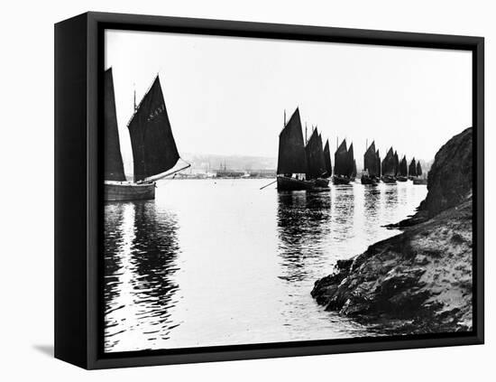 Regatta, Hayle Estuary, C.1890-null-Framed Stretched Canvas