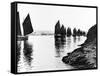 Regatta, Hayle Estuary, C.1890-null-Framed Stretched Canvas