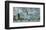 Regatta in Argenteuil-Claude Monet-Framed Premium Giclee Print