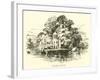 Regatta Island-null-Framed Giclee Print