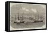Regatta of Boats of the Channel Fleet at Lisbon-null-Framed Stretched Canvas