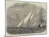 Regatta of the Lisbon Royal Yacht Club-null-Mounted Giclee Print