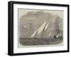 Regatta of the Lisbon Royal Yacht Club-null-Framed Giclee Print